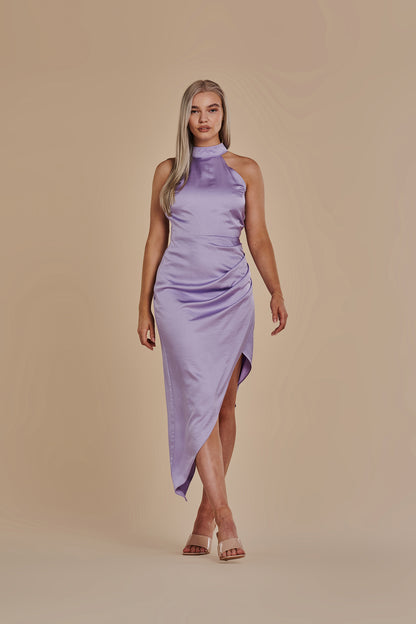 Lulu in Lavender